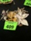 Broaches