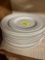 Dinner plates