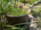 Outdoor flower pot and owl decor