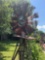 Decoration windmill