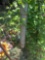 Outdoor item