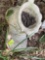 Boot flower pot