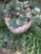 Flower pot