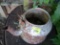 Metal water pitcher
