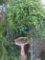 Trellis
