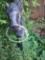 Horse ring hanger