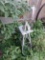 Decorate wind mill