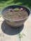 Flower pot