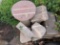 Yard stones