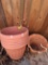 Flower pots