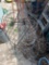 Tomato cages
