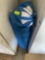Sports chair