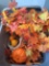 Autumn flowers