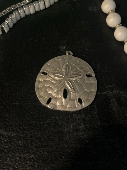 Sand dollar