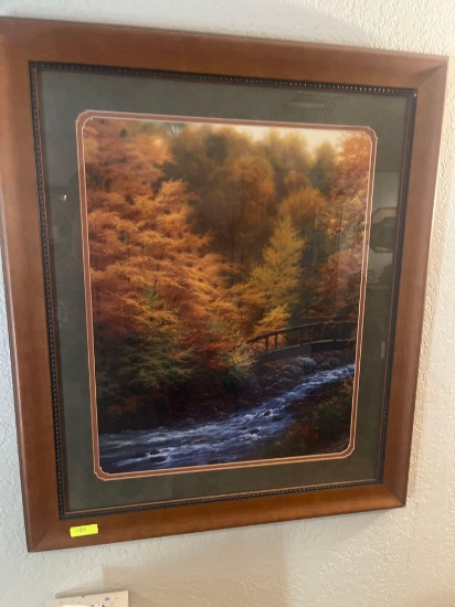 Framed Picture