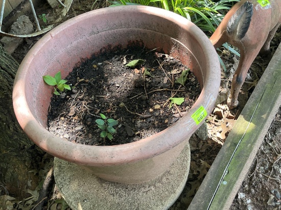 Large flower pot