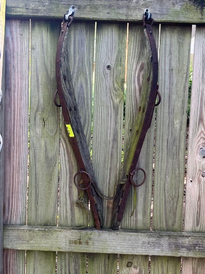 Horseshoes and more