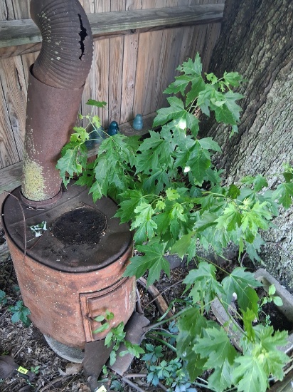 Vintage stove