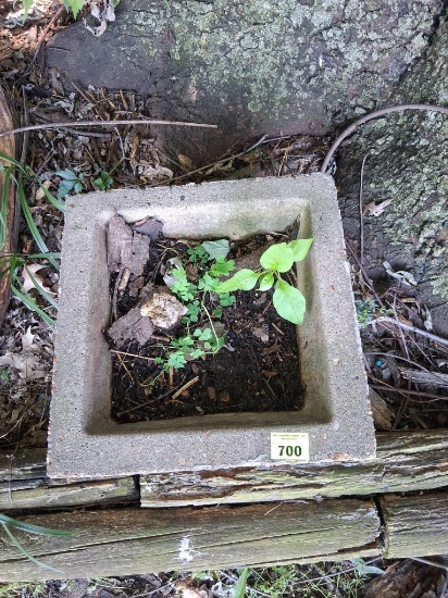 Flower pot