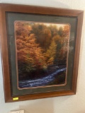 Framed Picture
