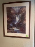 Framed Picture