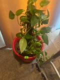 Artificial Plant
