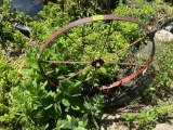 Metal wagon wheel