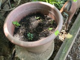 Large flower pot