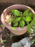 Large flower pot