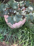 Flower pot