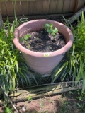 Large flower pot