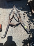 Bear trap