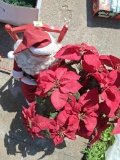 Christmas Decorations flowers