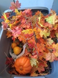 Autumn flowers