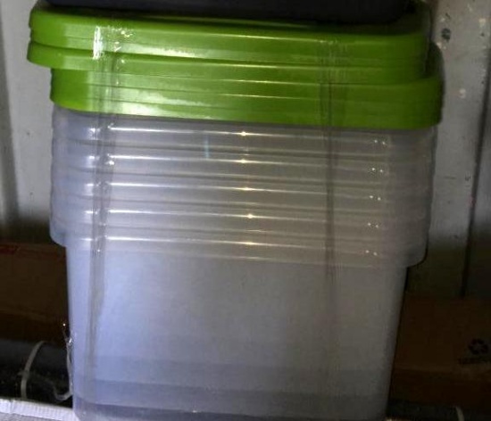 Sterilite Plastic Tubs - Green Top