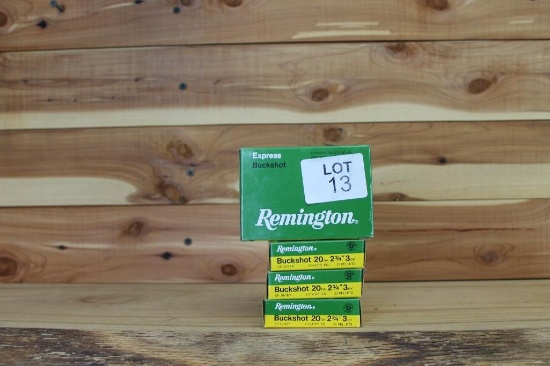 Remington 20ga Buckshot ammo