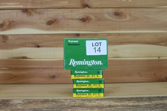 Remington 20ga Buckshot ammo