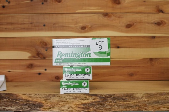 Remington 22-250 ammo