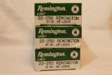 Remington 22-250 Ammo