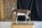 Blackbuck Lifesize