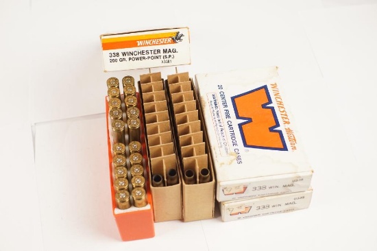 .338 Magnum brass & ammo