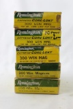 Remington 300 Win Mag