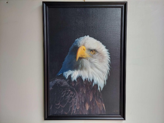 Framed Bald Eagle by John Hyde