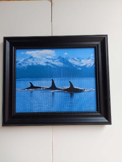 Framed Orcas Swimming by John Hyde