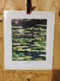 Print Loons By Ed Tussey