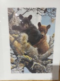 Print High Adventure Black Bear Cubs By Carl Brenders