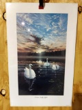 Print Swans Early Light by Ed Tussey