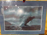 Print Humpback Whale Flying by Ed Tussey
