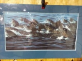 Print Herd of Seals by Ed Tussey