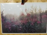 Print Midnight Fireweed by Tom Soucek